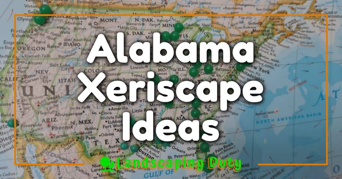 Alabama Xeriscape Ideas