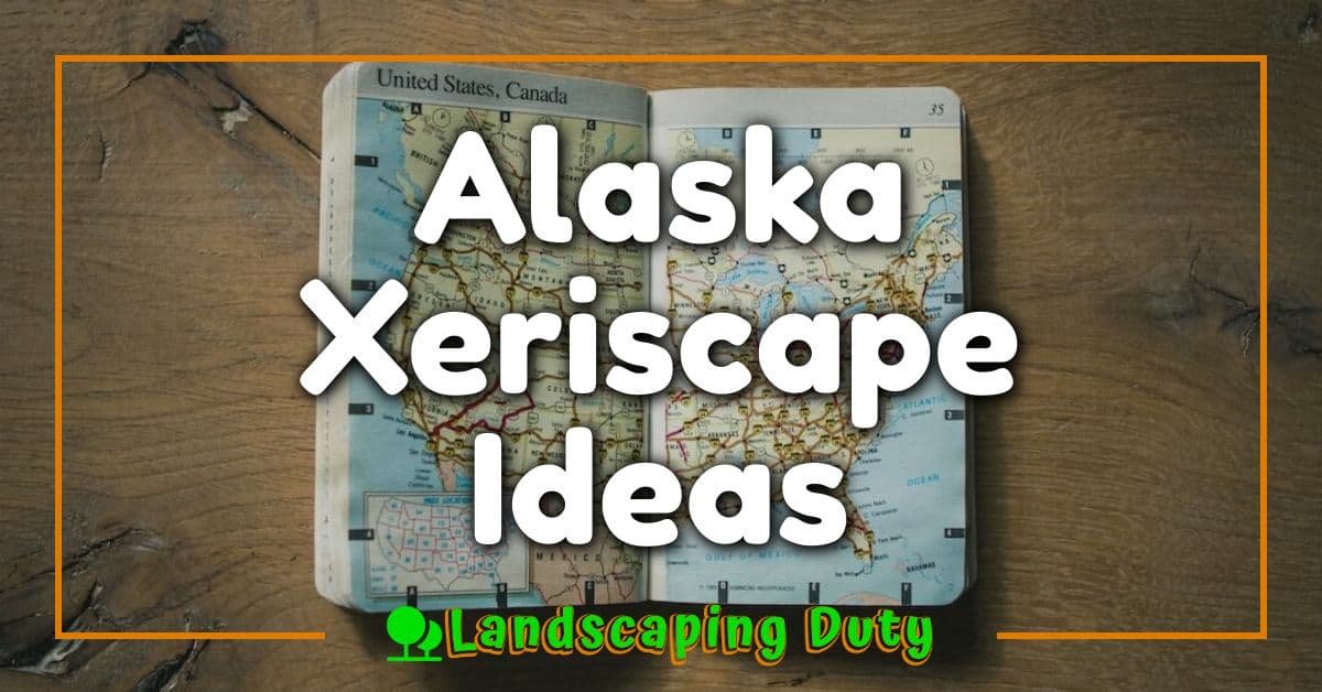 Alaska Xeriscape Ideas