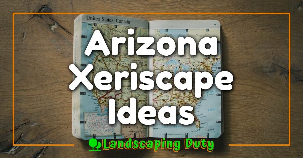 Arizona Xeriscape Ideas