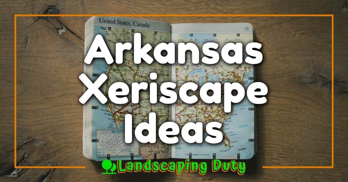 Arkansas Xeriscape Ideas