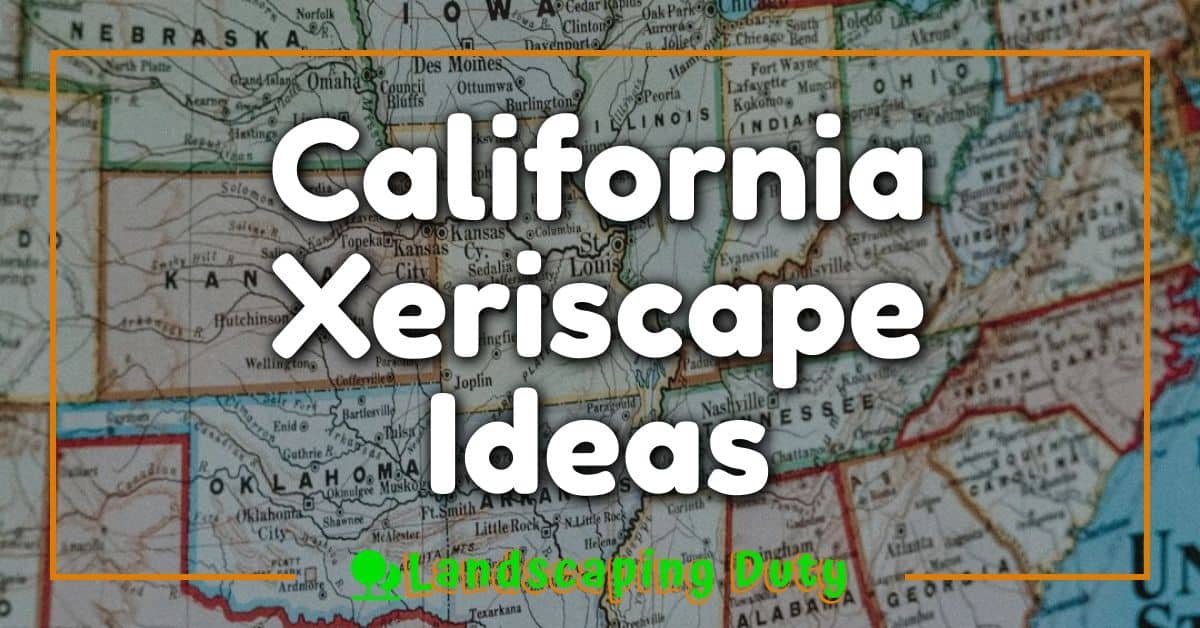 California Xeriscape Ideas