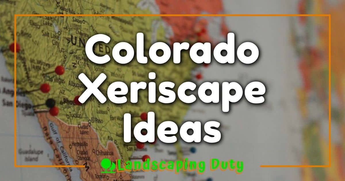 Colorado Xeriscape Ideas