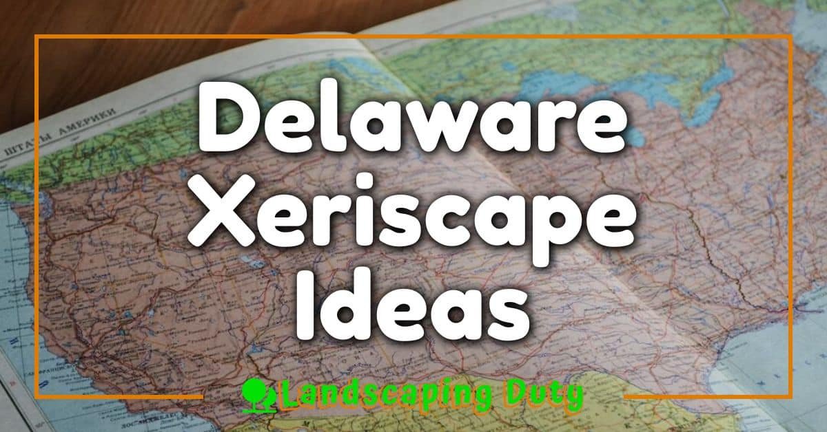 Delaware Xeriscape Ideas