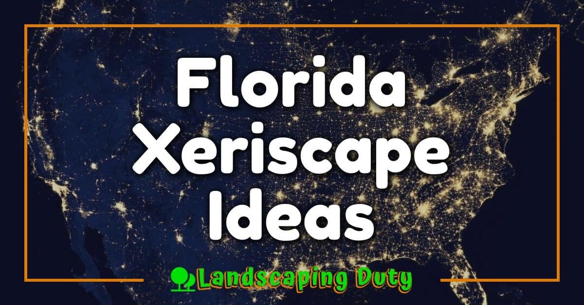 Florida Xeriscape Ideas