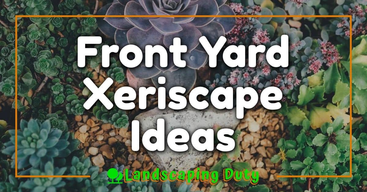 Front Yard Xeriscape Ideas