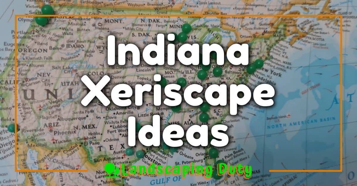 Indiana Xeriscape Ideas