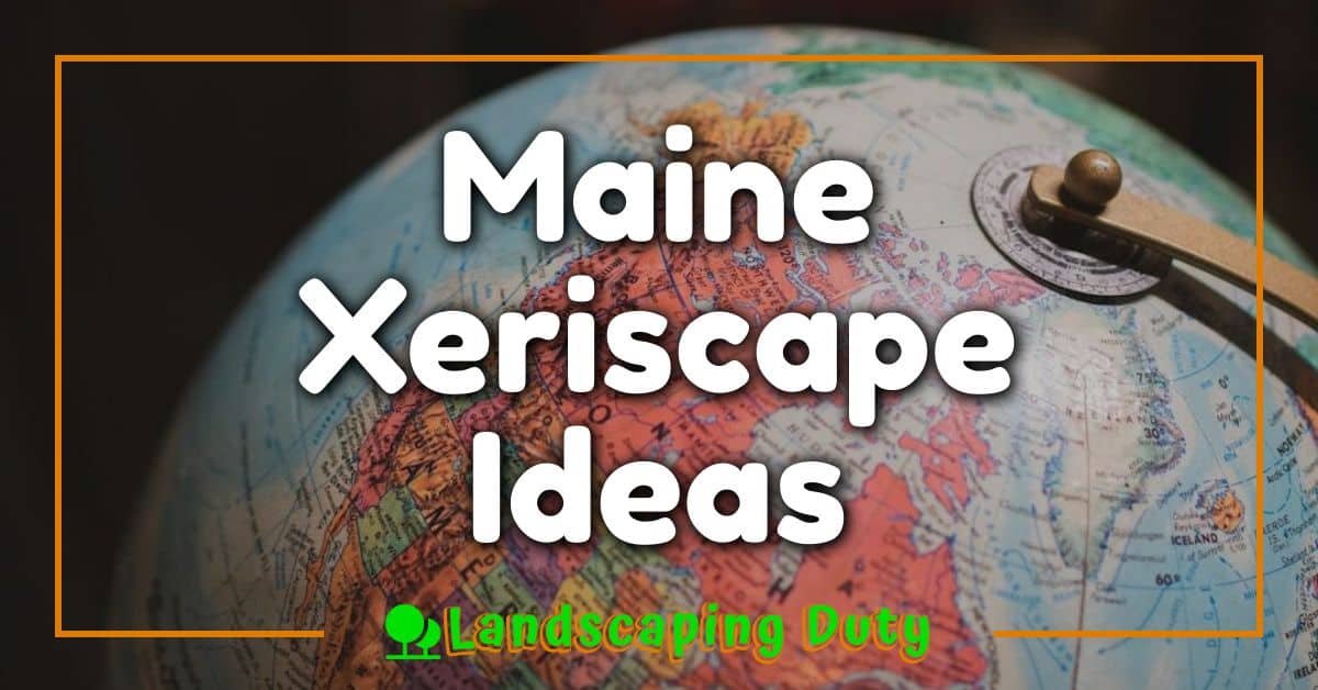 Maine Xeriscape Ideas