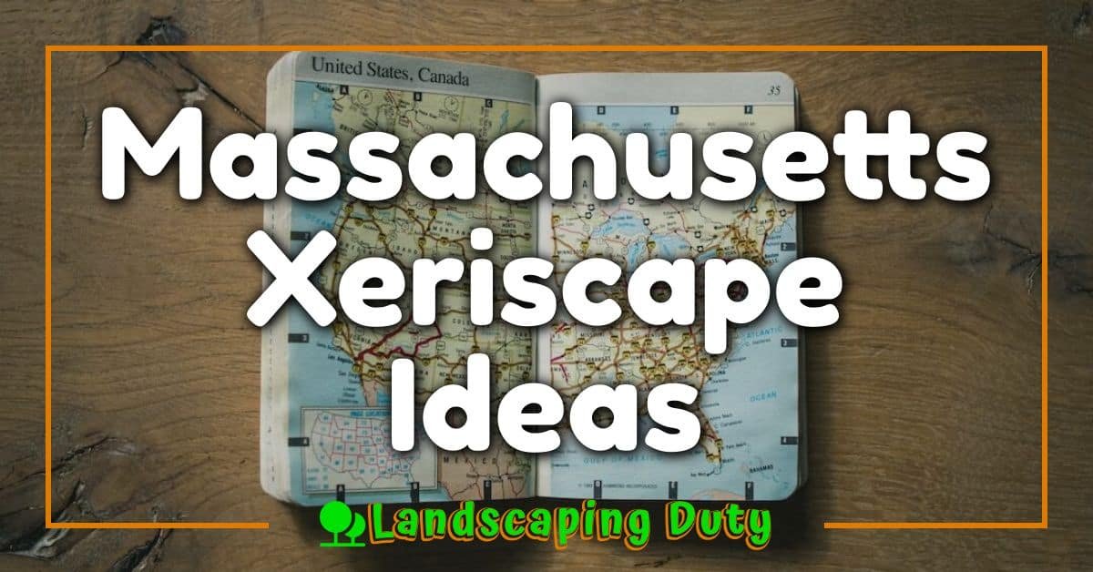 Massachusetts Xeriscape Ideas