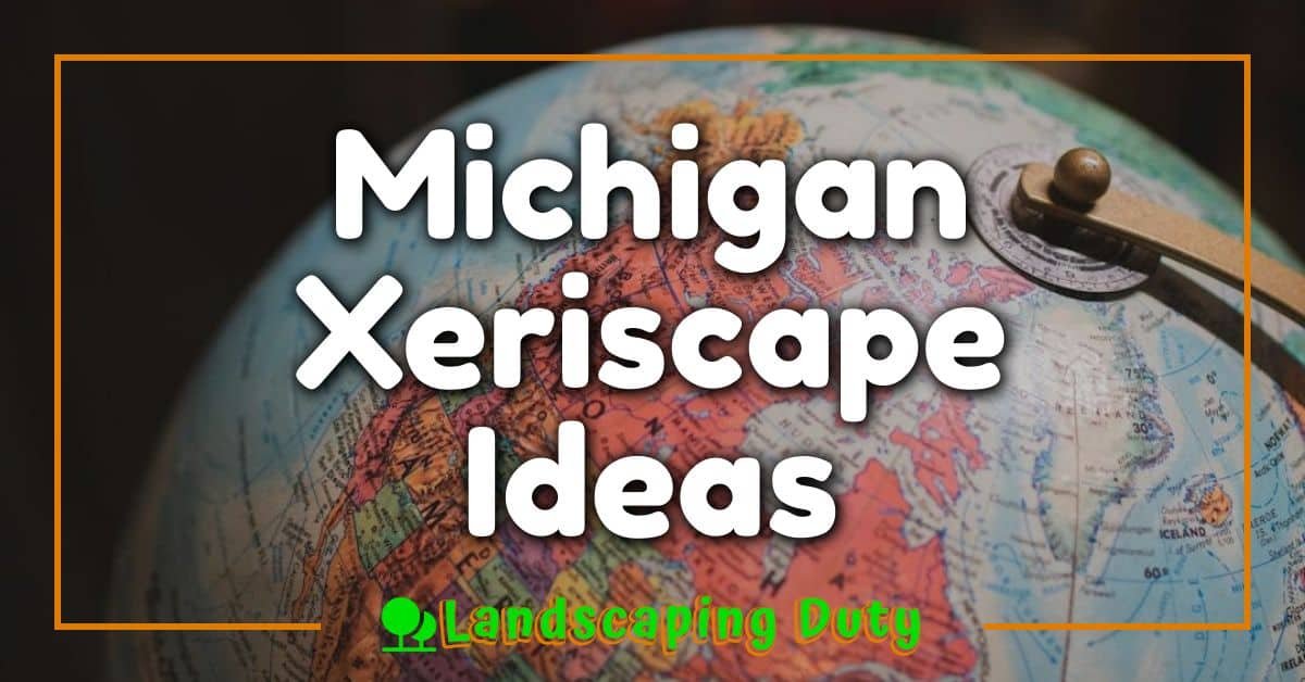 Michigan Xeriscape Ideas