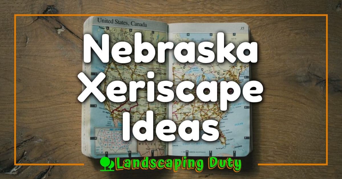 Nebraska Xeriscape Ideas