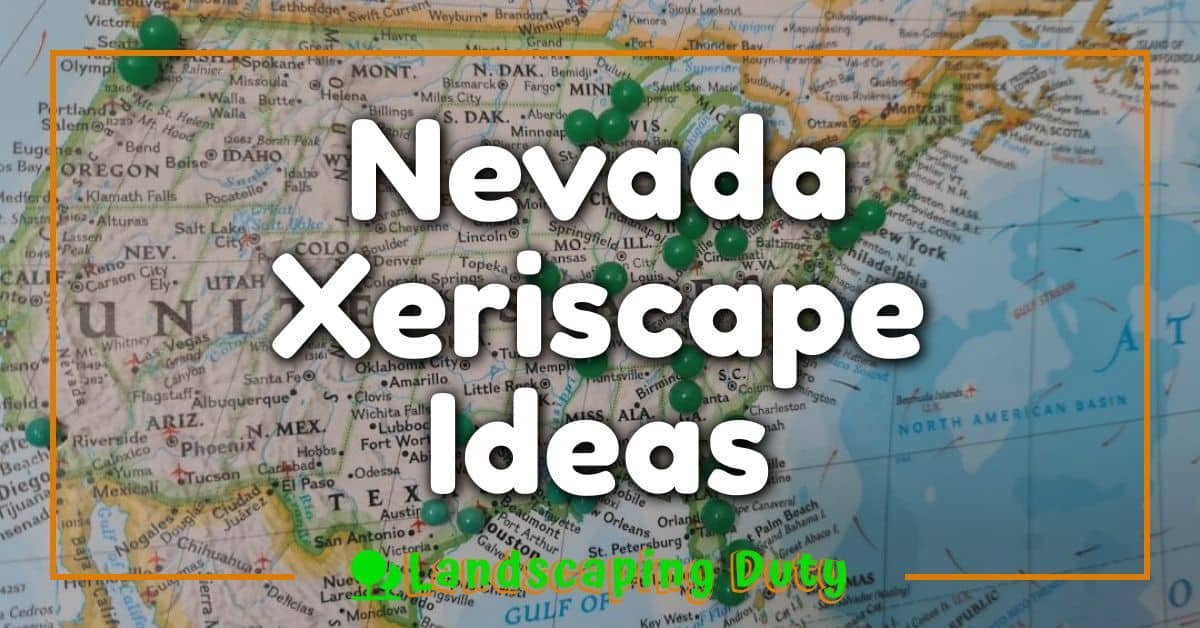 Nevada Xeriscape Ideas