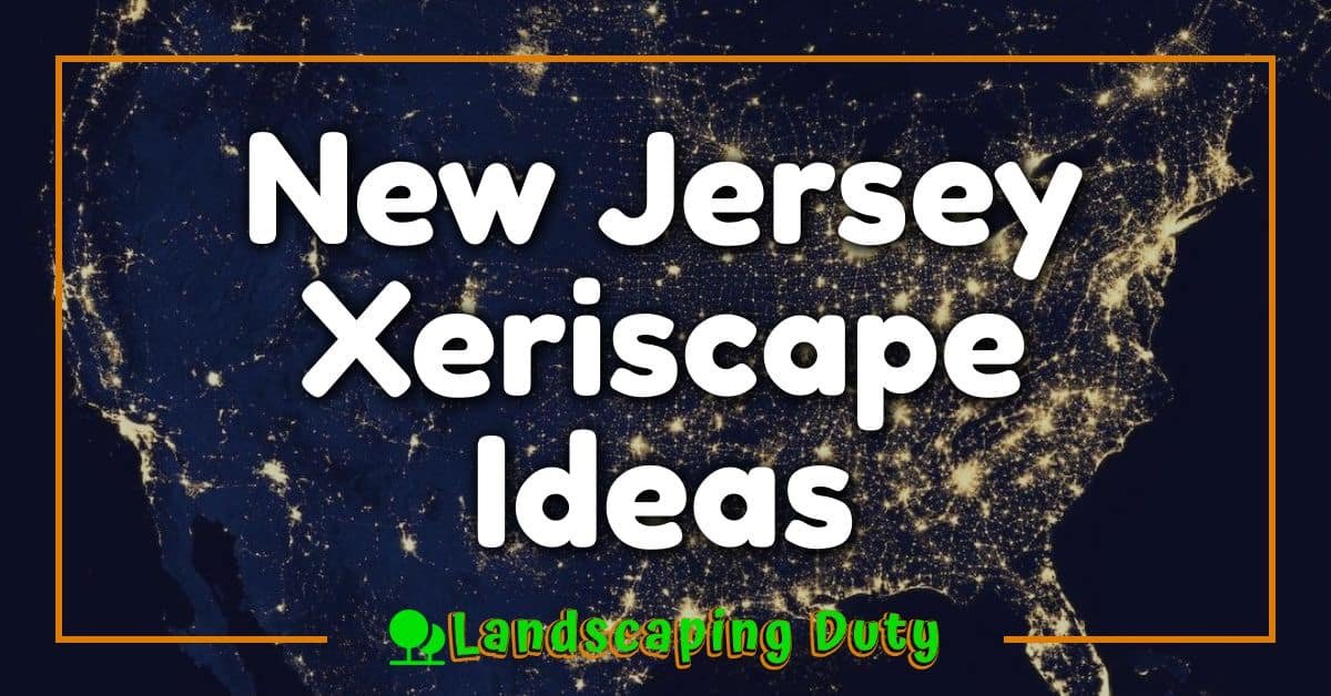 New Jersey Xeriscape Ideas