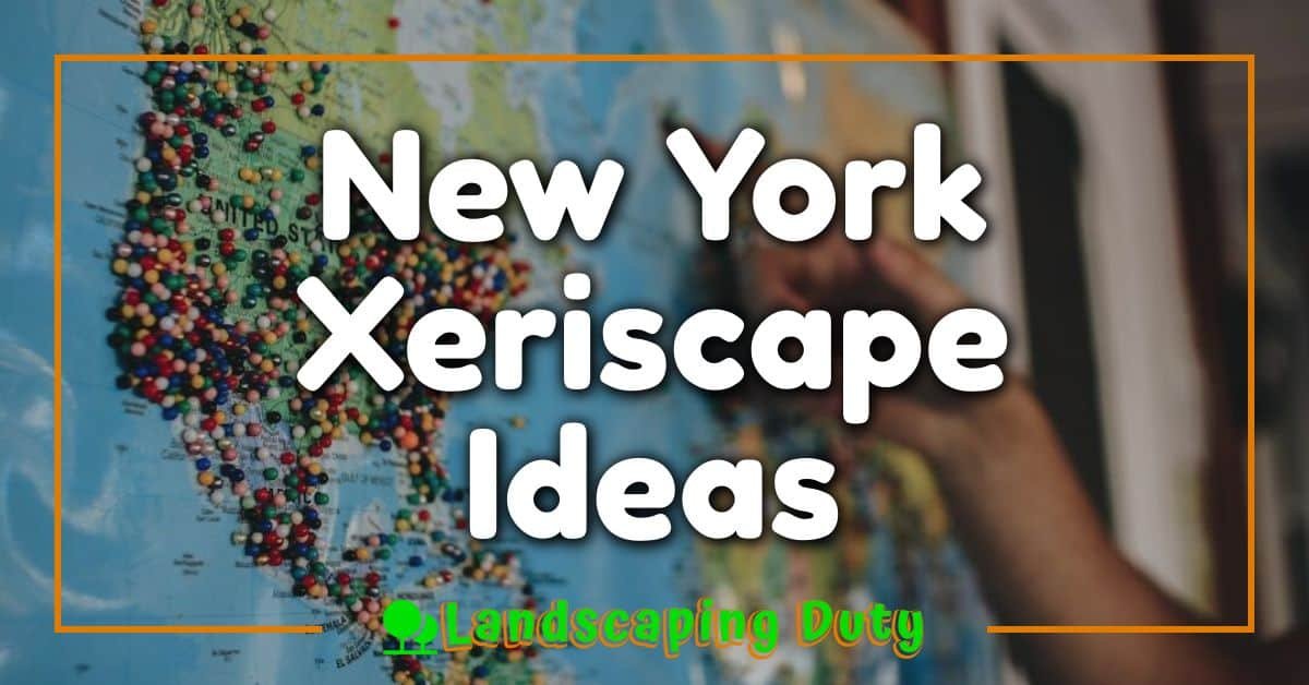 New York Xeriscape Ideas