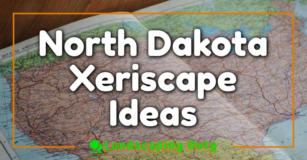 North Dakota Xeriscape Ideas: Your Ultimate Guide To A Stunning, Water ...