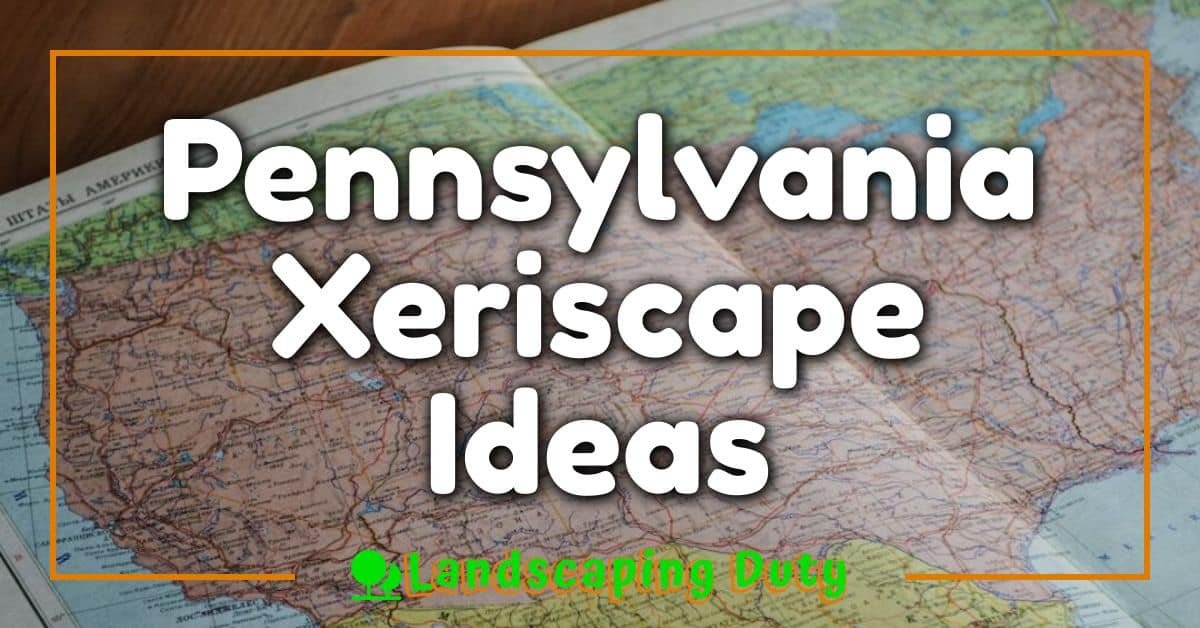 Pennsylvania Xeriscape Ideas