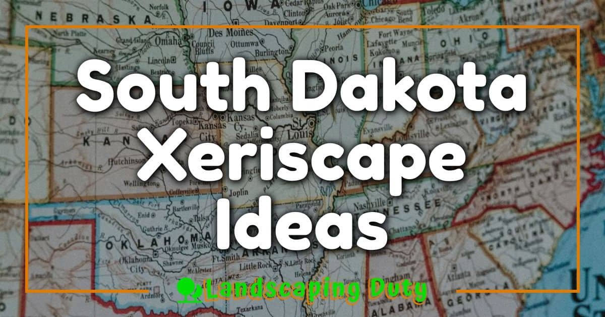 South Dakota Xeriscape Ideas