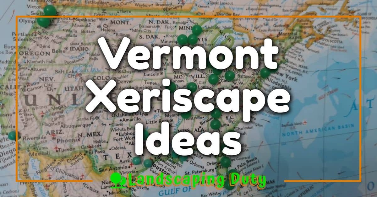 Vermont Xeriscape Ideas