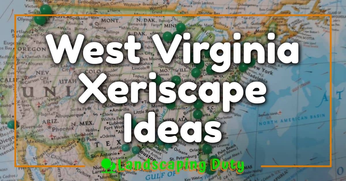 West Virginia Xeriscape Ideas