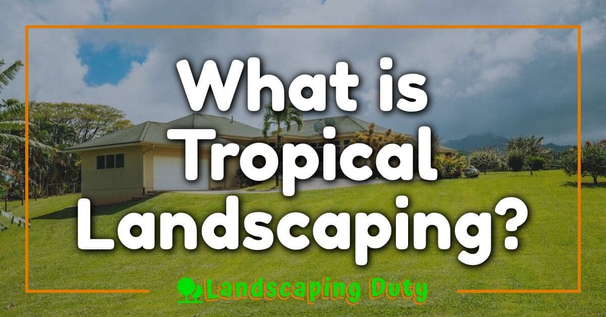 What is Tropical Landscaping?