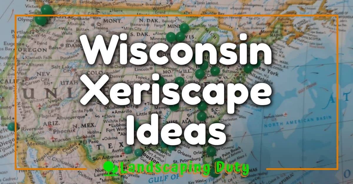 Wisconsin Xeriscape Ideas: Transform Your Yard Into A Water-Saving Paradise