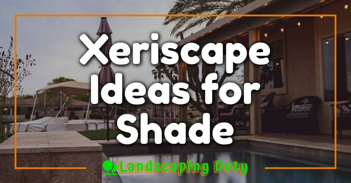 Xeriscape Ideas for Shade