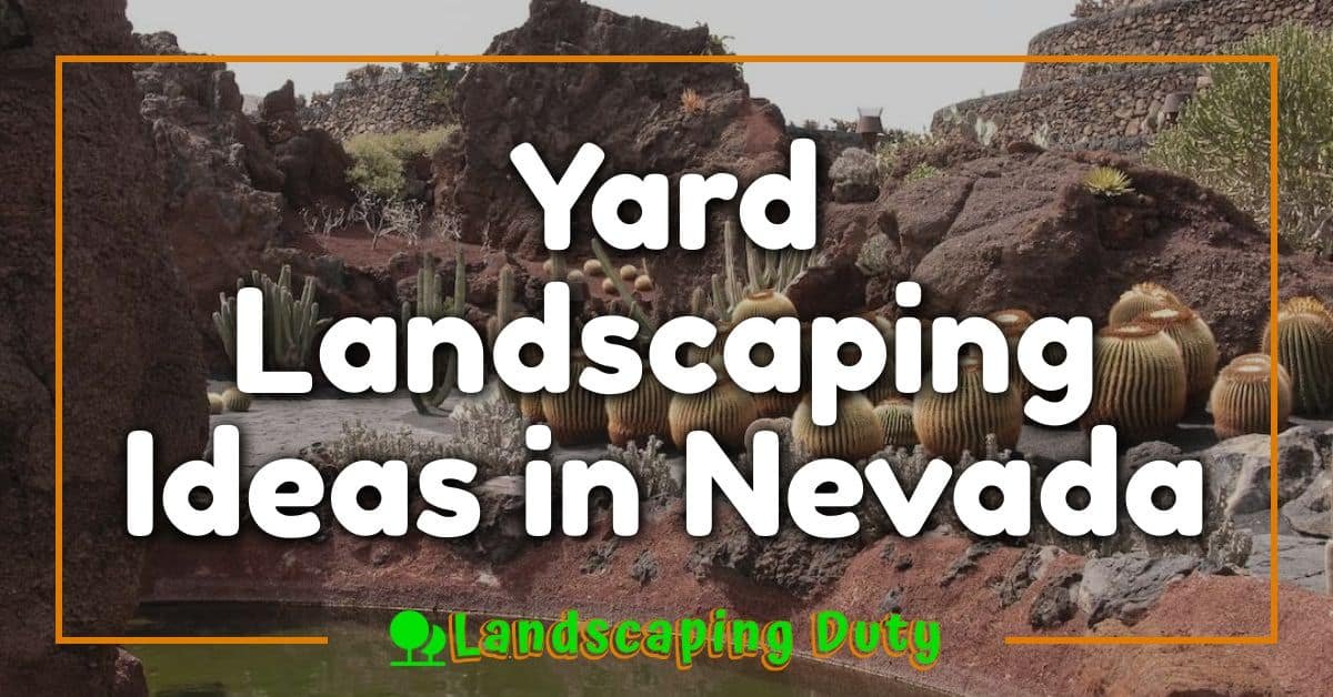 Yard Landscaping Ideas in Nevada