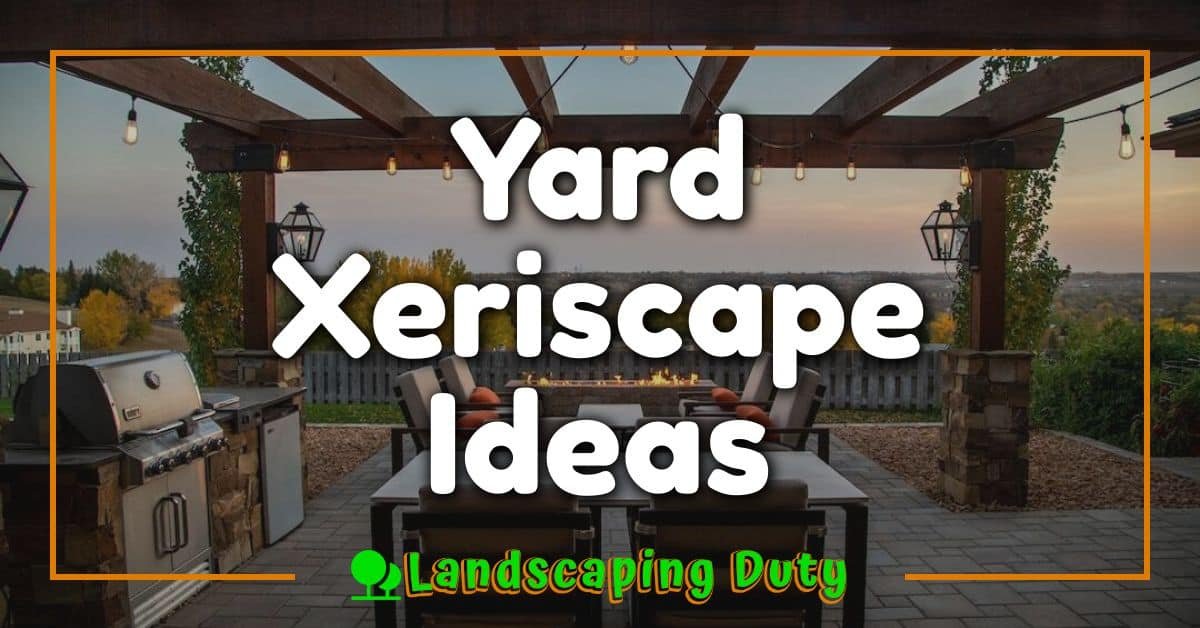 Yard Xeriscape Ideas