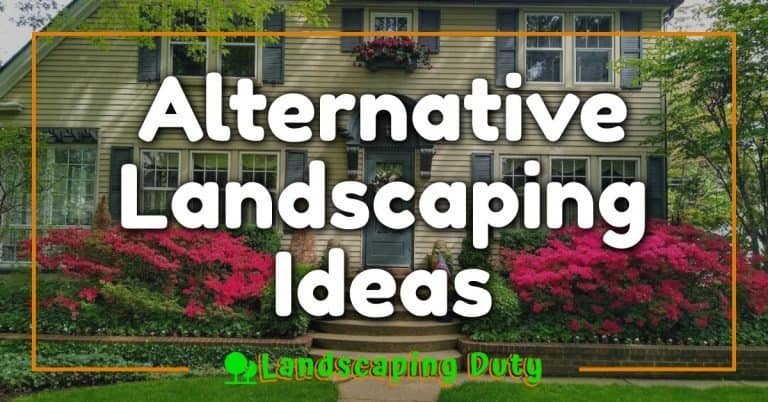 Alternative Landscaping Ideas: Unleashing Your Yard's Hidden Potential