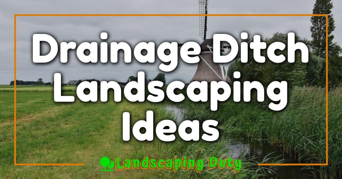 Drainage Ditch Landscaping Ideas