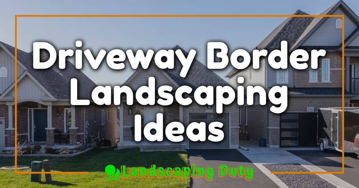 Driveway Border Landscaping Ideas