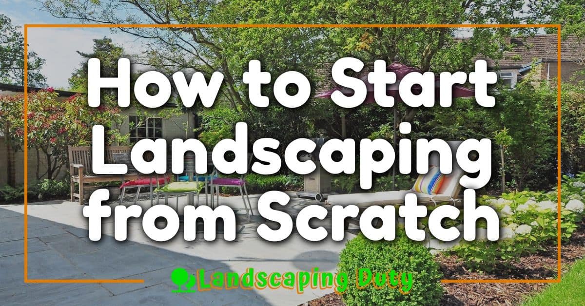 How to Start Landscaping from Scratch