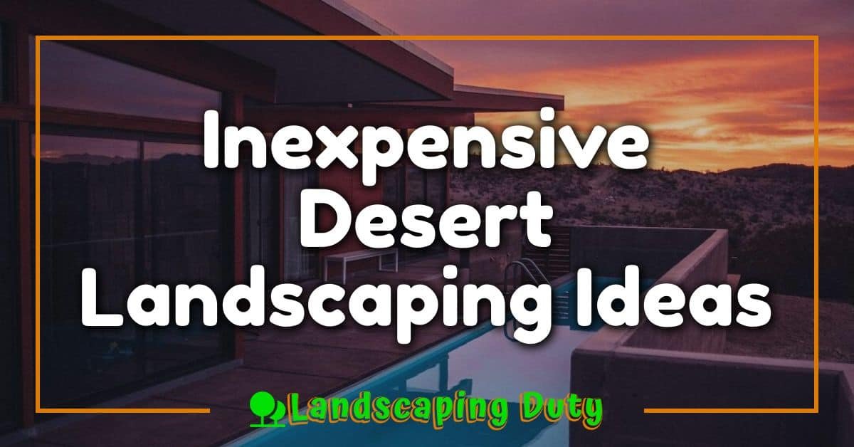 Inexpensive Desert Landscaping Ideas