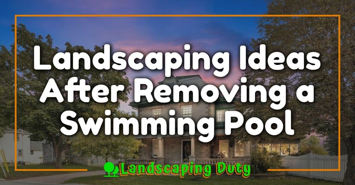 Landscaping Ideas After Removing a Swimming Pool