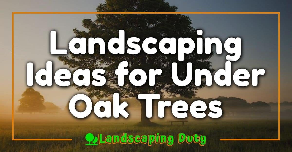 Landscaping Ideas for Under Oak Trees