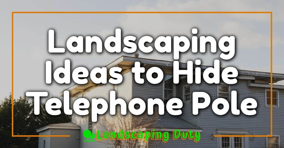 Landscaping Ideas to Hide Telephone Pole