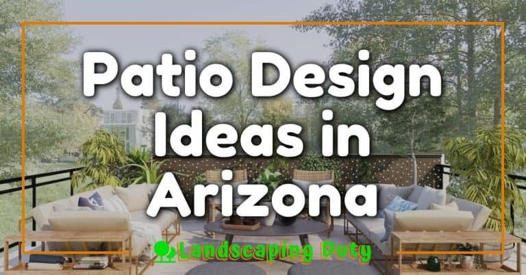 Patio Design Ideas In Arizona: Your Guide To An Outdoor Oasis