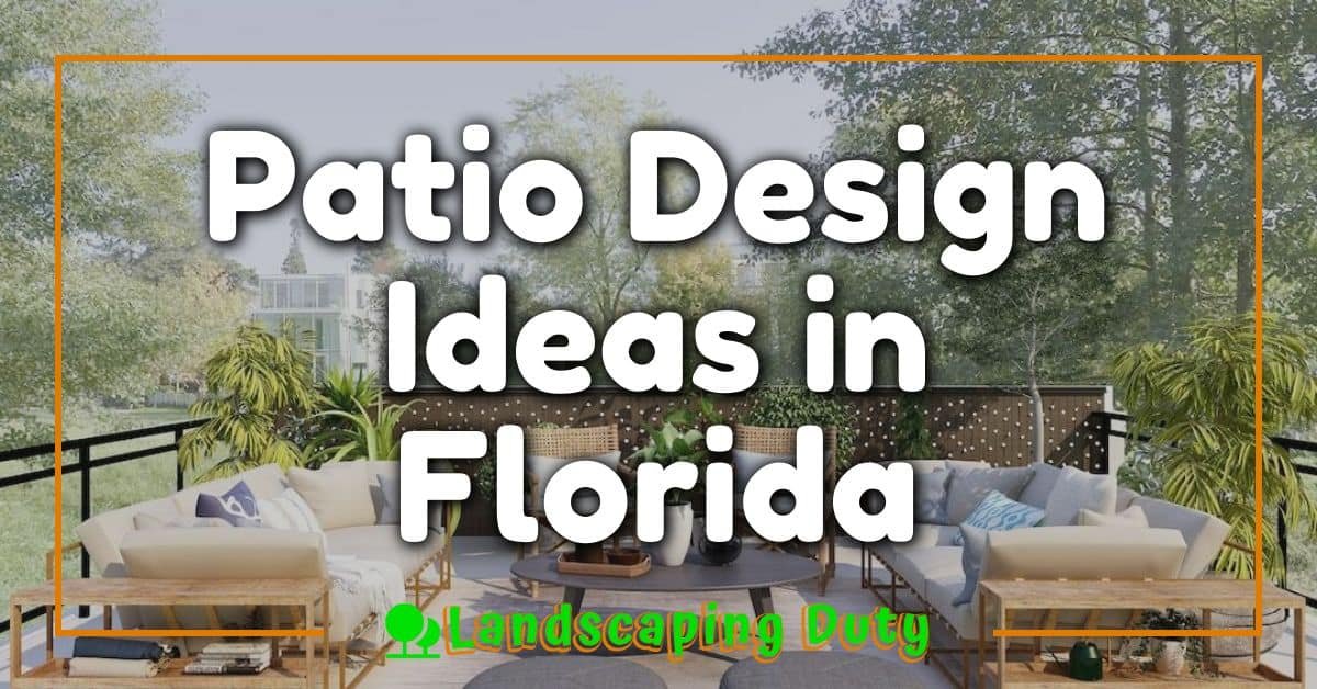 Patio Design Ideas in Florida