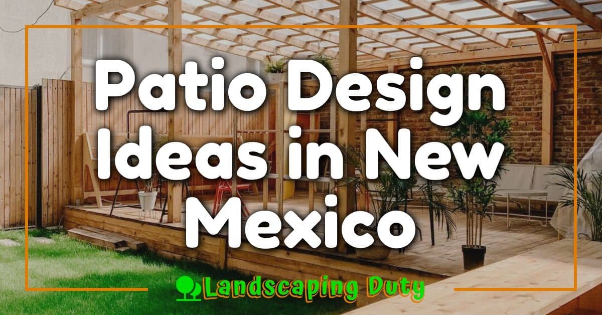 Patio Design Ideas in New Mexico