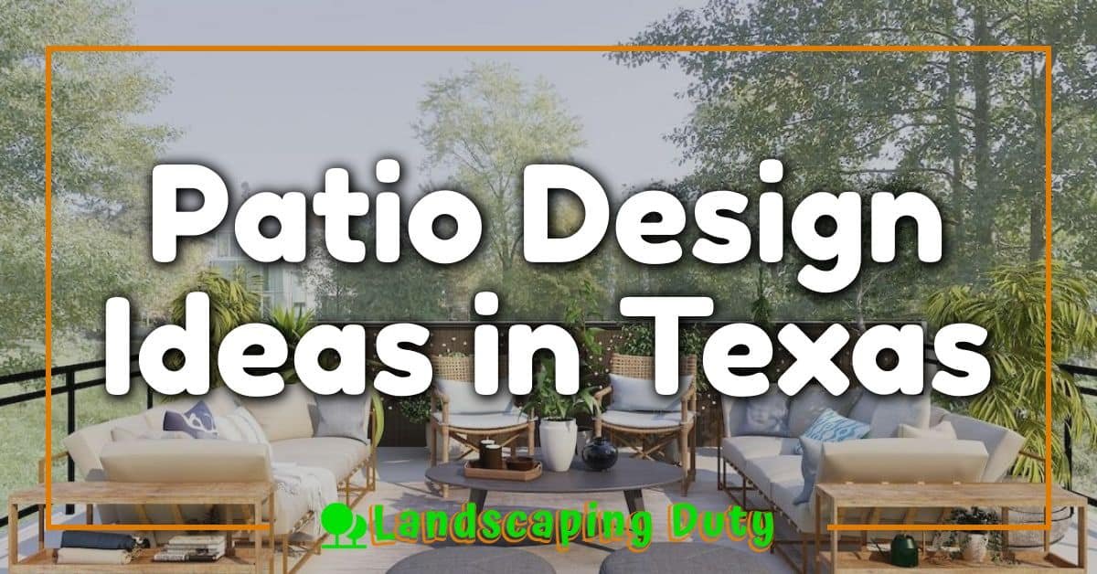 Patio Design Ideas in Texas