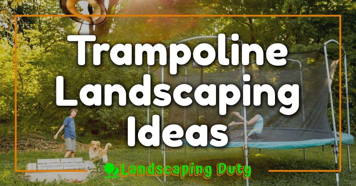 Trampoline Landscaping Ideas