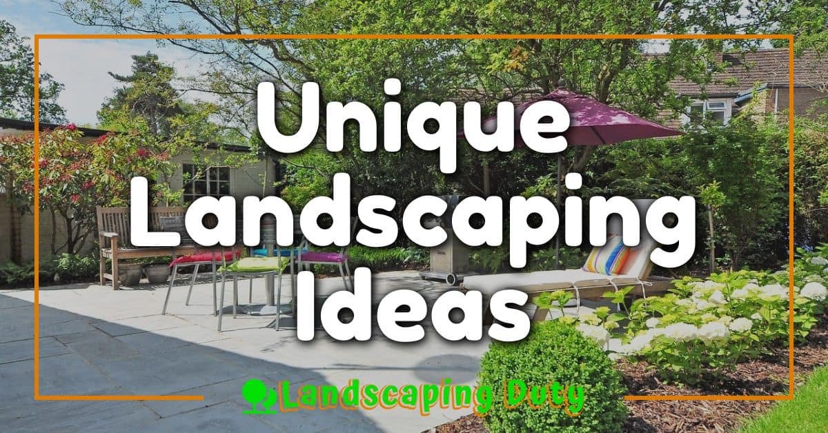 Unique Landscaping Ideas