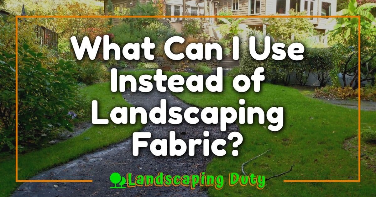 What Can I Use Instead of Landscaping Fabric?