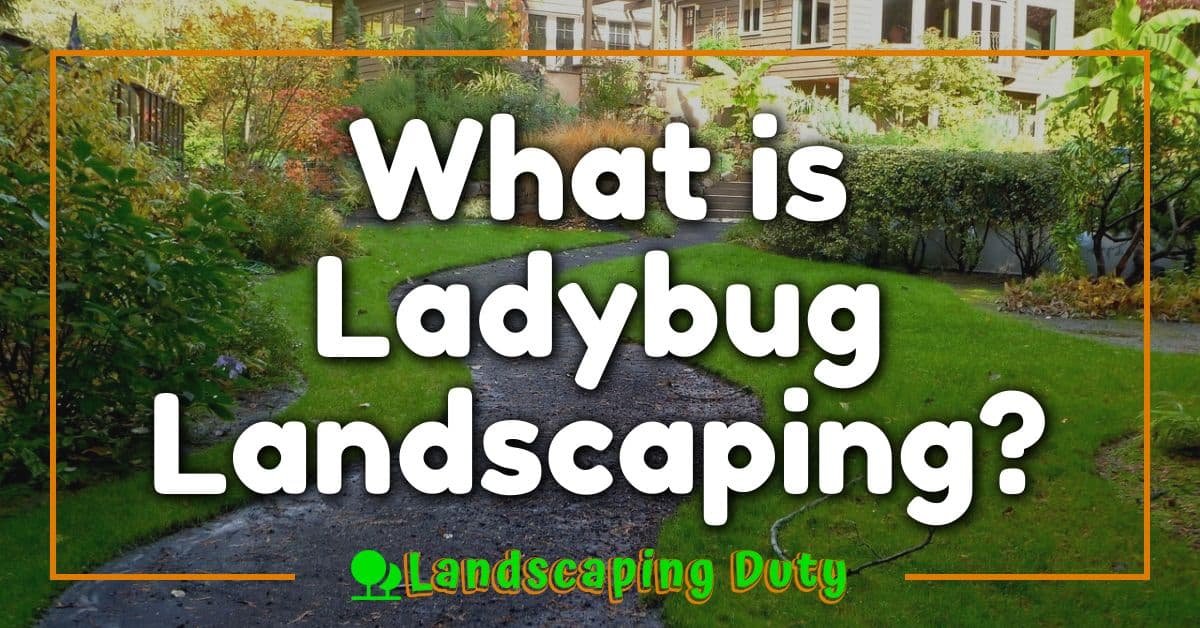 What is Ladybug Landscaping?