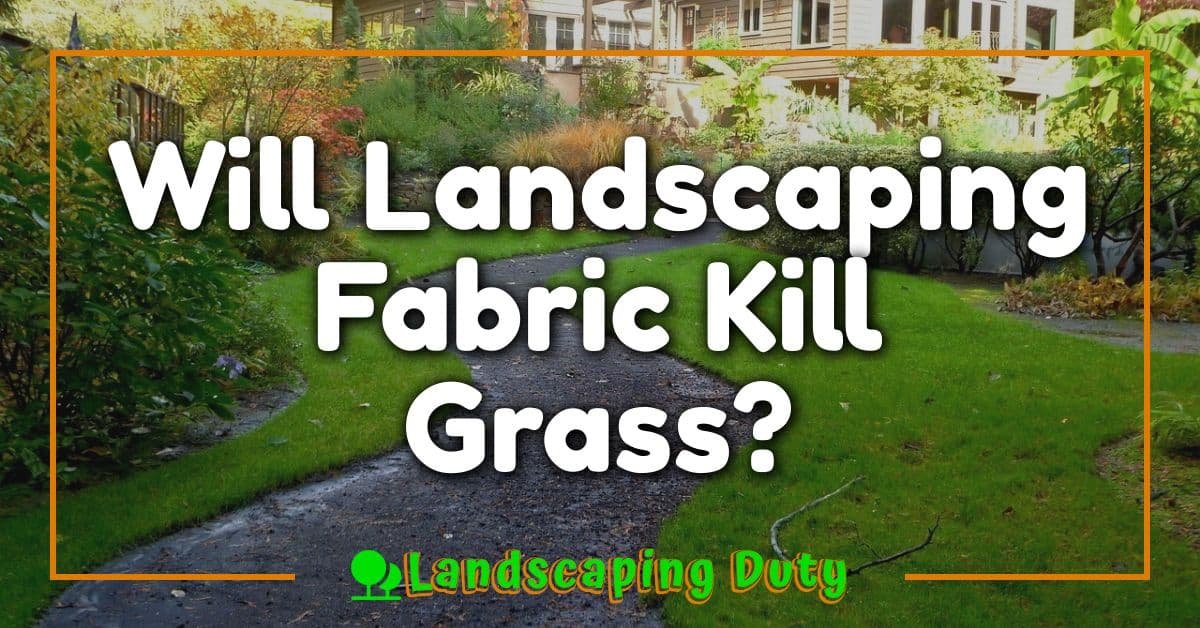 Will Landscaping Fabric Kill Grass?