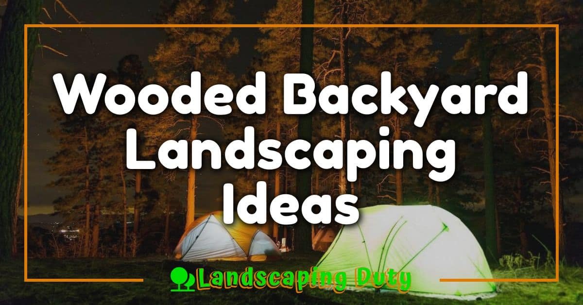 Wooded Backyard Landscaping Ideas