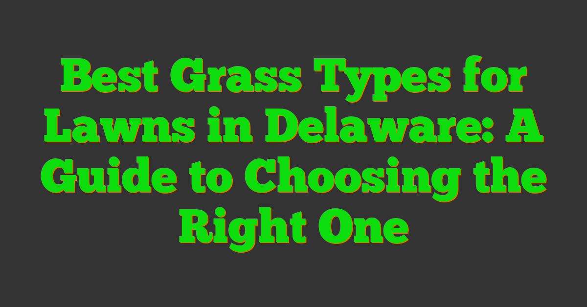 Best Grass Types for Lawns in Delaware: A Guide to Choosing the Right One