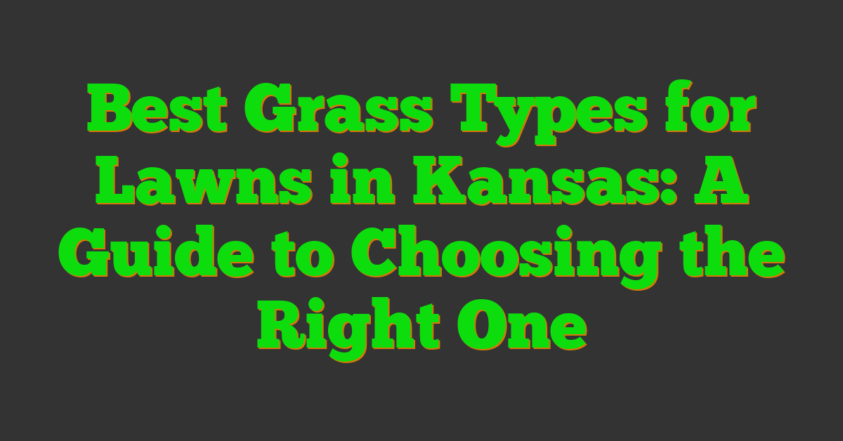 Best Grass Types for Lawns in Kansas: A Guide to Choosing the Right One