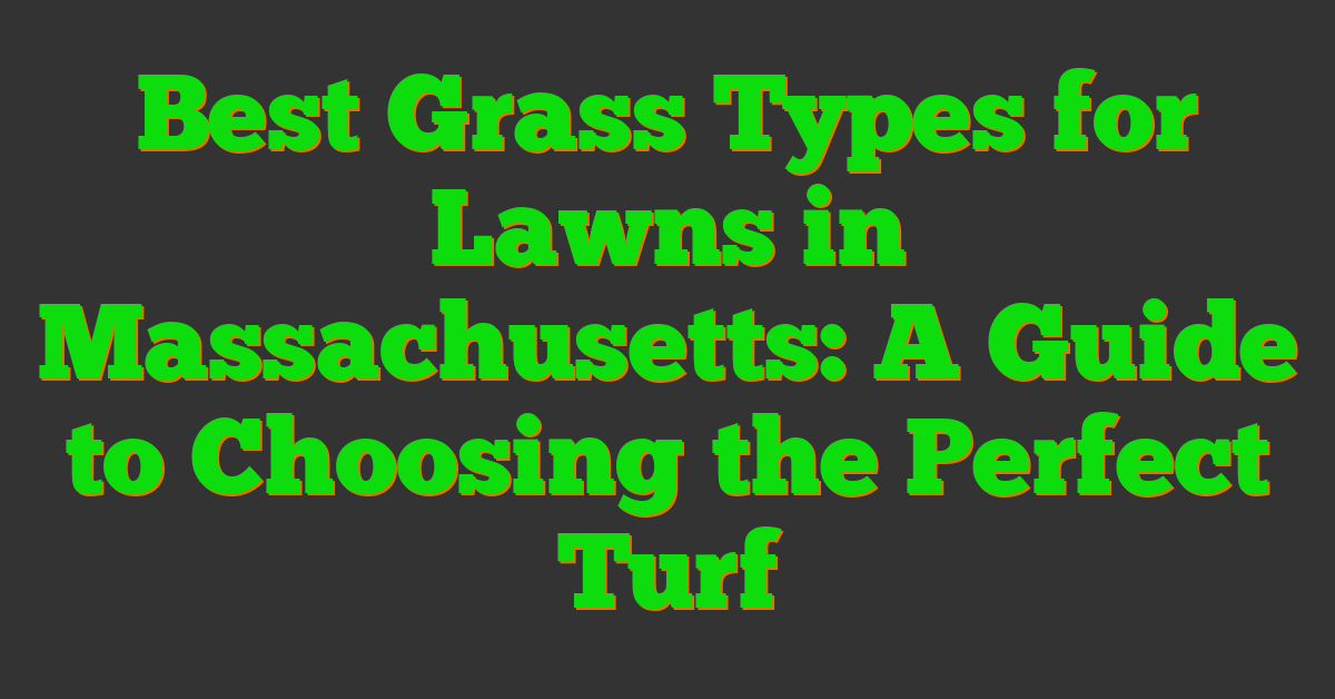 Best Grass Types for Lawns in Massachusetts: A Guide to Choosing the Perfect Turf