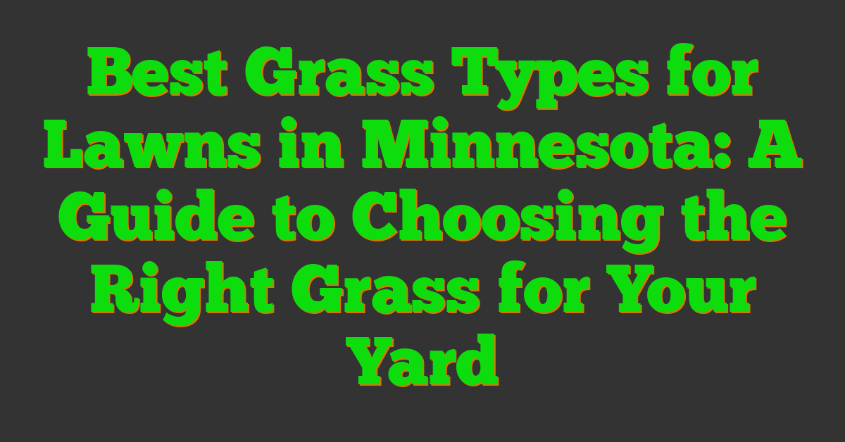 Best Grass Types for Lawns in Minnesota: A Guide to Choosing the Right Grass for Your Yard