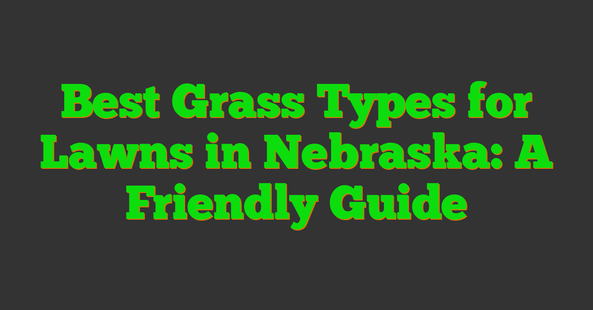 Best Grass Types for Lawns in Nebraska: A Friendly Guide